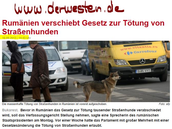 160913 Rumänien verschiebt Gesetz zur Tötung von Straßenhunden.JPG