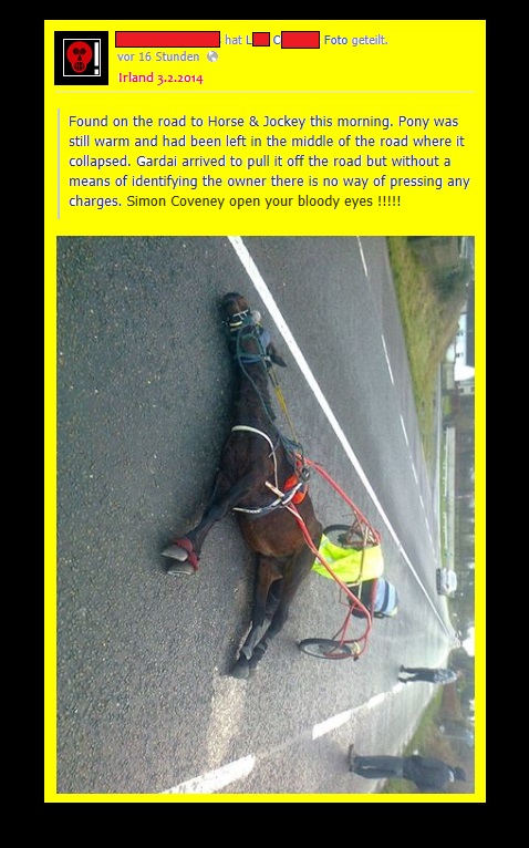 Pony was still warm and had been left in the middle of the road where it collapsed..jpg