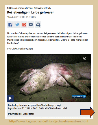 Schweinemastbetrieb außer Kontrolle D-Nov2014.gif