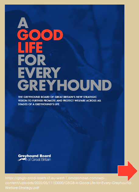 GBGB-A-Good-Life-for-Every-Greyhound-Welfare-Strategy_button.gif